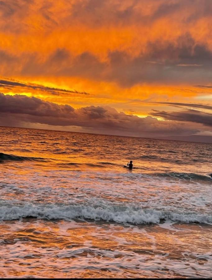 Appartamento Place Is Different!! Award Winning! Oceanfront, View View! Wailuku