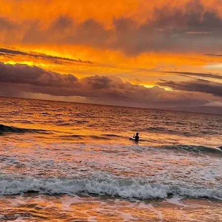 This Place Is Different!! Award Winning! Oceanfront, View View! Wailuku Extérieur photo