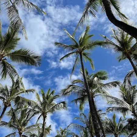 This Place Is Different!! Award Winning! Oceanfront, View View! Wailuku Extérieur photo