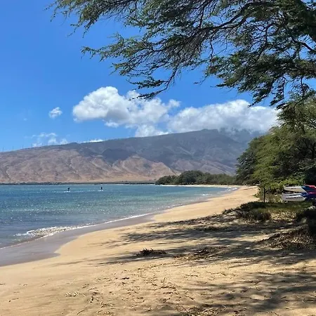 This Place Is Different!! Award Winning! Oceanfront, View View! Wailuku Extérieur photo