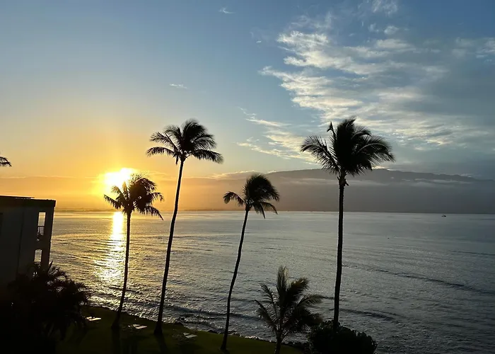 This Place Is Different!! Award Winning! Oceanfront, View View!
