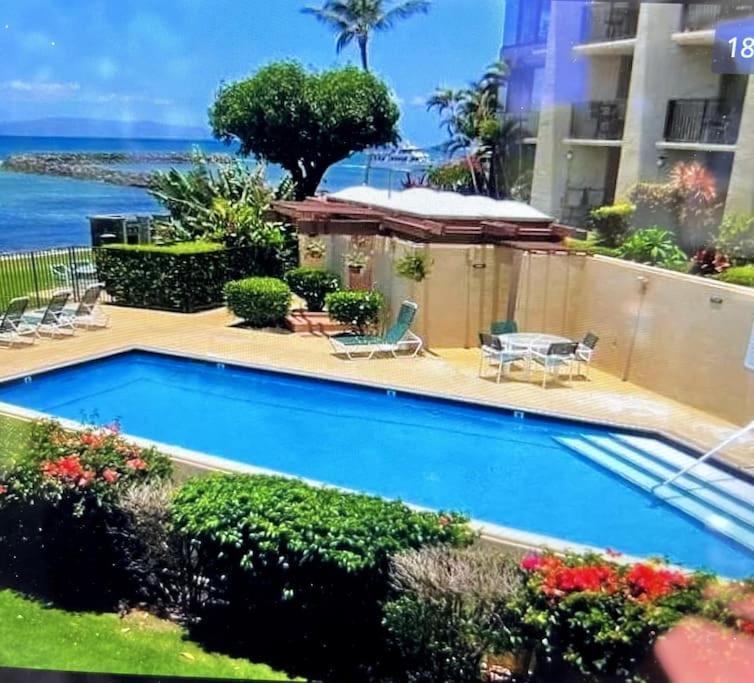 Place Is Different!! Award Winning! Oceanfront, View View! * Wailuku
