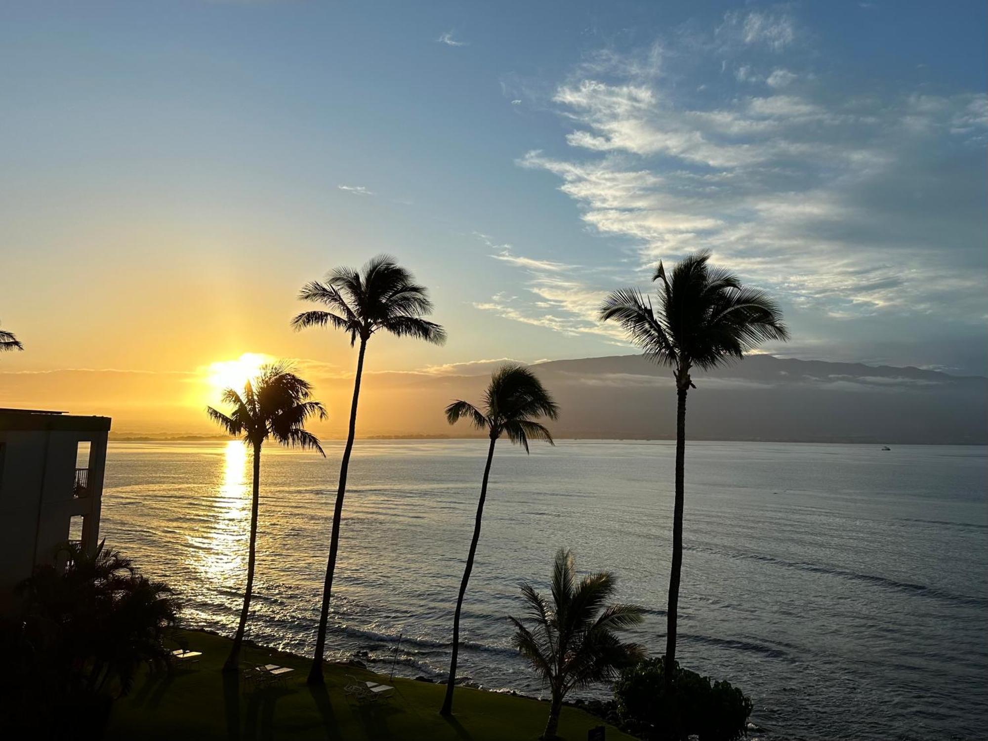 Place Is Different!! Award Winning! Oceanfront, View View! * Wailuku