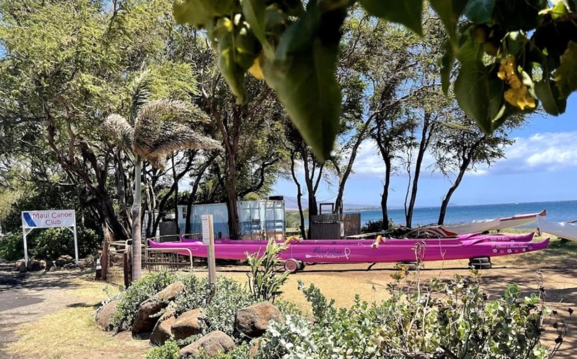 Apartamento Place Is Different!! Award Winning! Oceanfront, View View! *